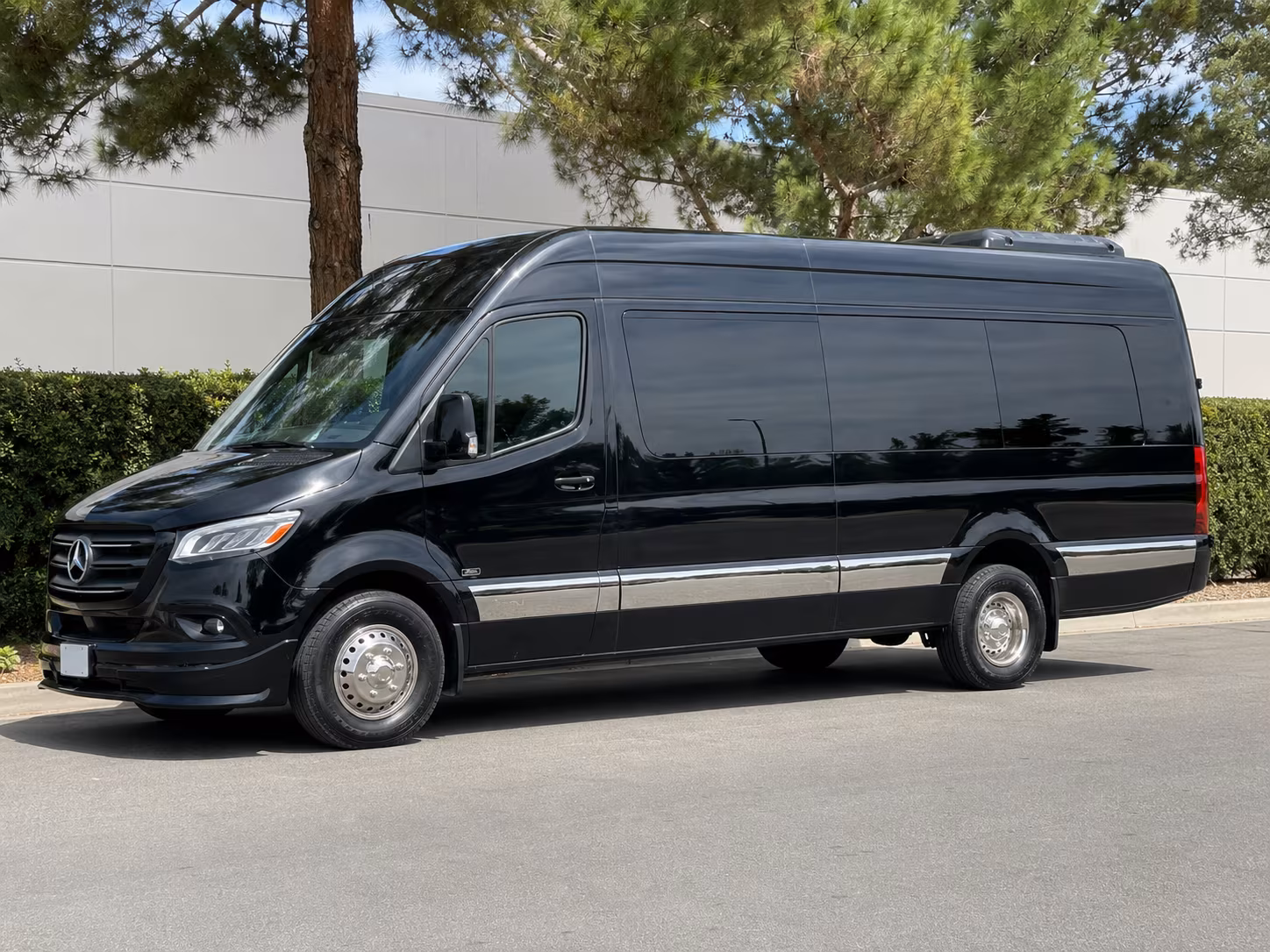 garden grove sprinter van with driver
