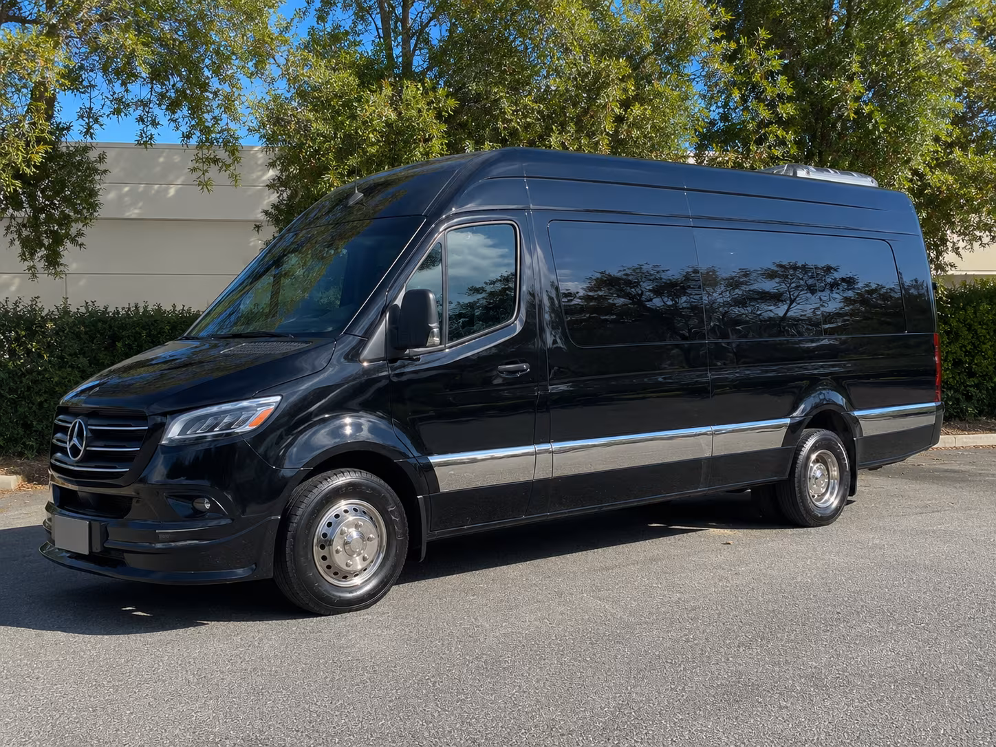 sprinter vans and minibuses for executive and small group corporate travel